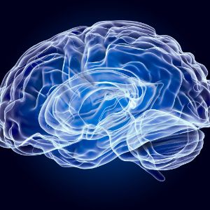 Image of the human brain in the color blue